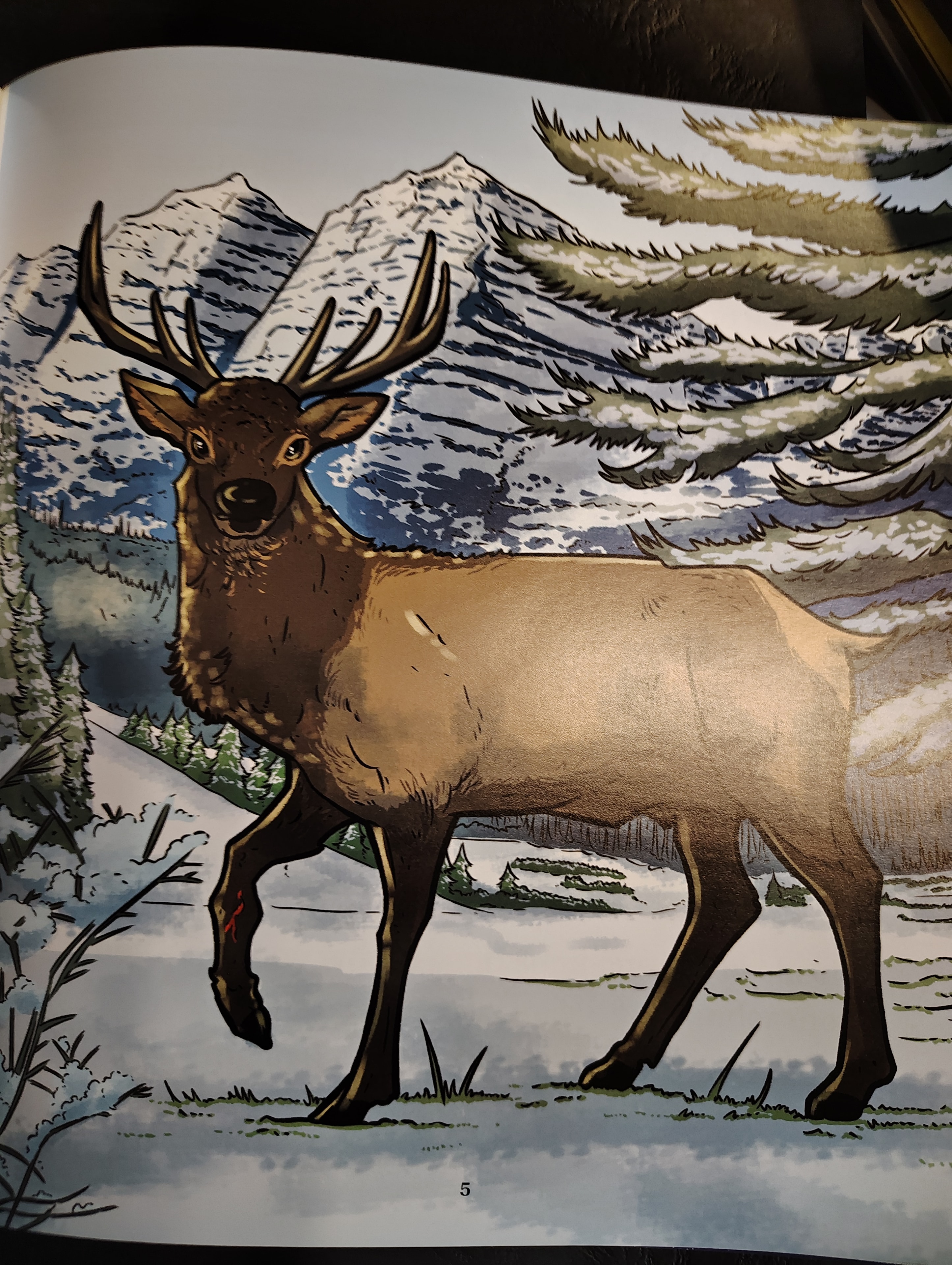 Interior illustration — elk in winter forest landscape